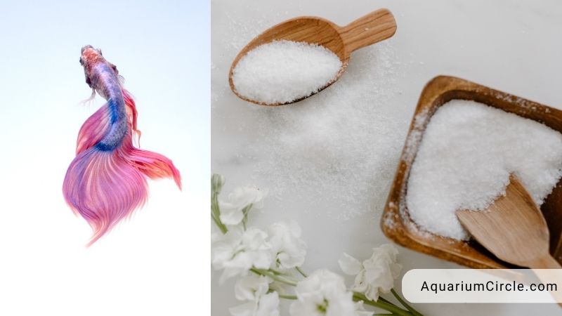 aquarium salt for betta