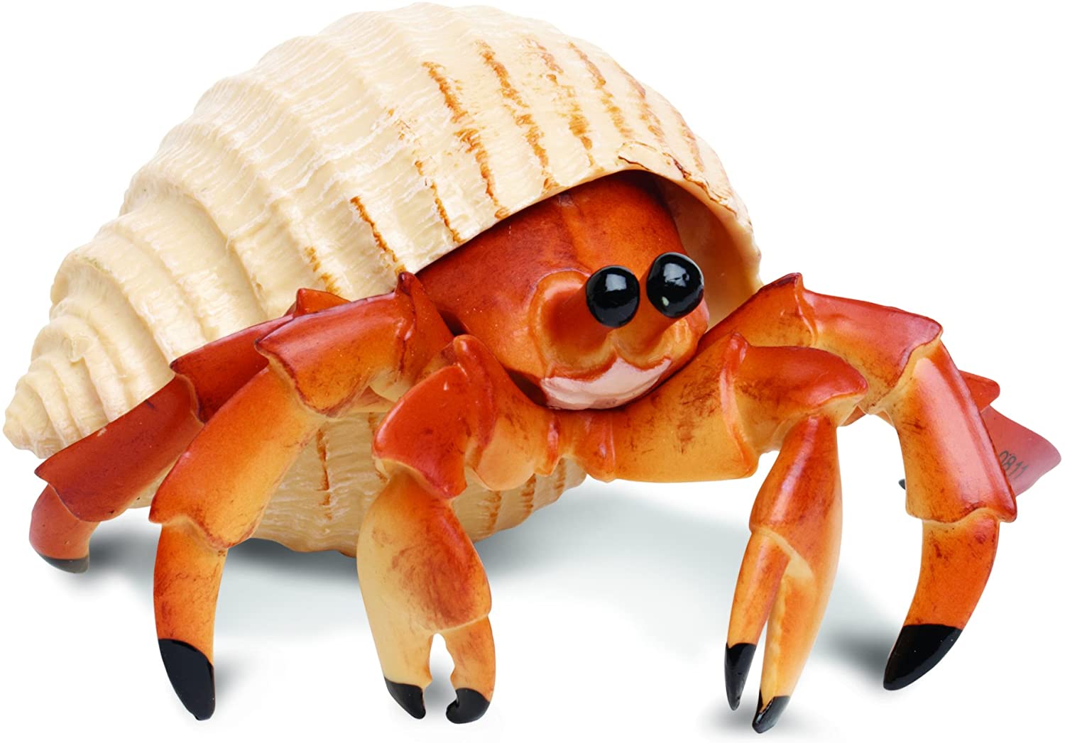 Can Hermit Crabs Eat Fish Food